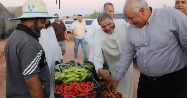 محافظ الوادى الجديد: زراعة 6 آلاف نخلة بمشروع وقف النخيل بالداخلة 