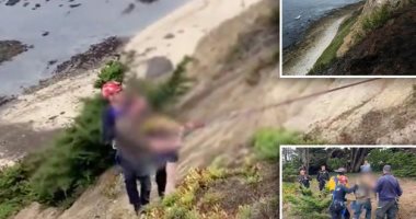 نجاة رجل بعد سقوطه من حافة جرف على ارتفاع 30 مترا فى كاليفورنيا
