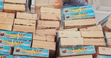 ضبط 12.5 طن أسماك ورنجة منتهية الصلاحية في حمله تموينية بالغربية