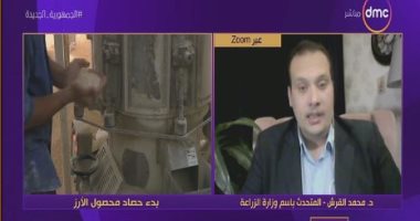 الزراعة: نزرع 1.1 مليون فدان من الأرز لتلبية احتياجات المواطنين