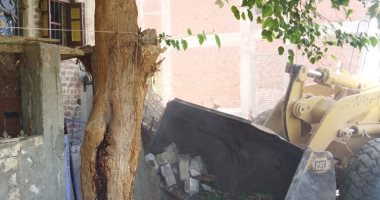 إزالة 49 حالة تعدٍ على أراضى أملاك دولة بأسيوط ضمن الموجة الـ20.. صور