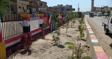 زراعة الأشجار وتجميل الميادين فى مدن وقرى كفر الشيخ .. صور