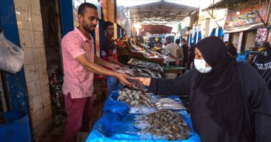 تعرف على سعر السمك اليوم .. البلطى بـ 32 جنيها للكيلو بسوق الجملة
