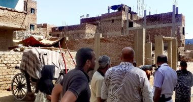 مدينة الأقصر تحرر 3 محاضر مخالفات بيئية لأصحاب الخيول.. صور