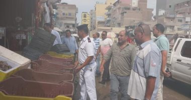 استمرار مشروعات الرصف بدسوق وحملة لإزالة التعديات بالحامول.. صور