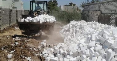 إزالة 272 حالة تعدٍ بالزراعة والبناء على أراضى الدولة وملكيات خاصة بالفيوم