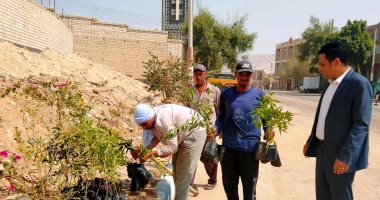 ضمن المبادرة الرئاسية "100 مليون شجرة".. زراعة 4300 شجرة بحى الكوثر بسوهاج