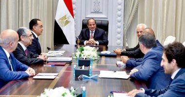 الرئيس السيسى يستعرض إنتاج الكهرباء من الطاقة المتجددة مع "اتحاد شركات يونانية"