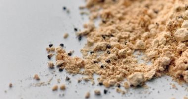 نصائح للتخلص من السوس في المطبخ.. "تأكد من صلاحية العبوات أولا بأول"