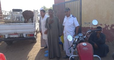 مدير بيطرى الأقصر يشكل لجنة للمرور على سوق المواشى بقرية الحبيل.. صور