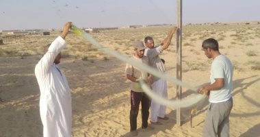 رزق من السماء.. شباك الصيادين فى انتظار الطيور المهاجرة بسيناء (صور)