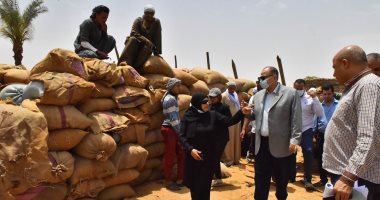 محافظ أسيوط: انتهاء موسم توريد محصول القمح بإجمالى توريد 170 ألفا و264 طنا