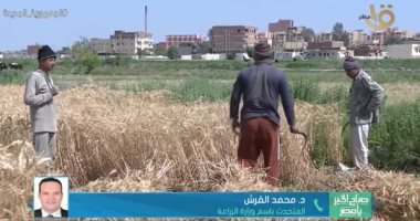 متحدث الزراعة: زرعنا 3 ملايين و659 ألف فدان فى العام الماضى