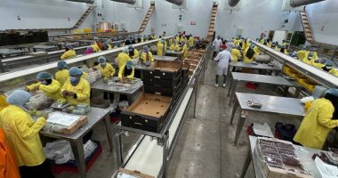 مشروع جديد لإنشاء محطة تعبئة وتبريد المحاصيل البستانية بمساحة 2 فدان بالأقصر
