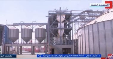 أستاذ اقتصاد زراعى: السعة التخزينية لصوامع القمح 5.5 مليون طن وتجازونا 3 ملايين