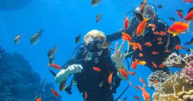 "Tripadvisor" يختار الغردقة ضمن أفضل 25 مقصدا سياحيا بالعالم.. ويؤكد: تضم أحسن أماكن غوص على ساحل البحر الأحمر وبها وبها كائنات بحرية نادرة.. شواطئها الأفضل ومياهها صافية وتقام بها رياضات الكايت سيرف العالمية