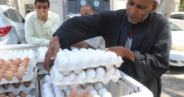 الزراعة تطرح كميات من البيض بمنافذها المتحركة والثابتة بأسعار مخفضة للمواطنين