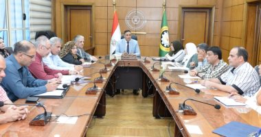 محافظ الدقهلية يبحث الموقف التنفيذي للمشروعات المشتركة بين قطاعي الصحة والإسكان