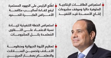 الرئيس السيسى يتابع منظومتى الإنتاج الزراعى والأمن الغذائى (إنفوجراف)