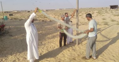 شباك الصيادين تنتظر الطيور المهاجرة على سواحل سيناء.. السمان البرى والقمرى وبط الشرشير الصيفى والعصافير الأشهر.. الطيور تهرب من صقيع أوروبا لدفء أفريقيا وشمال آسيا.. الشبام والطراحة والرماكة أشهر طرق الصيد..صور
