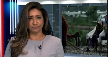 مذيعة كندية تضطر لابتلاع ذبابة على الهواء.. فيديو