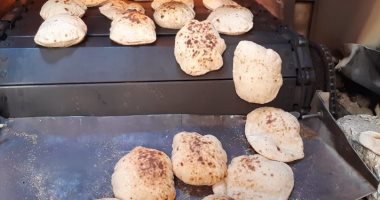 صرف 81 مليون رغيف خبز و3853 طن دقيق وسلع تموينية بـ42 مليون جنيه في الأقصر