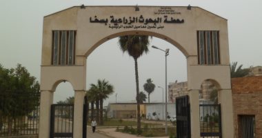محطة البحوث الزراعية بكفر الشيخ منارة العلم والعلماء وأمان لتوفير التقاوى لكل المزارعين وإنتاج أصناف جديدة.. 600 باحث فى 12 معهدا و80 نشاطا بحثيا فى كافة المجالات الزراعية لتوفير هجن جديدة تعطى إنتاجية أعلى