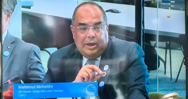 محيى الدين: لا بد من تمويل كاف وعادل وفورى لجميع أوجه العمل المناخى