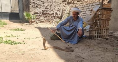 على الطريقة الرفاعية.. "حناش" يخرج الثعابين من المنازل: بينى وبينها عهد