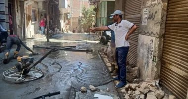 حملات تجميل وتركيب الانترلوك وإنشاء مطبات بمناطق رُصفت بدسوق.. صور
