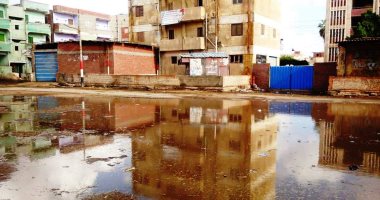 سقوط أمطار متقطعة خفيفة على عدد من قرى كفر الشيخ.. فيديو وصور