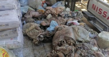 صحة سوهاج تضبط 2 طن لحمة رأس وأرجل وأحشاء غير صالحة للاستهلاك الآدمى