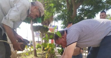 زراعة 160 شجرة بكفر الزيات ضمن مبادرة 100 مليون شجرة