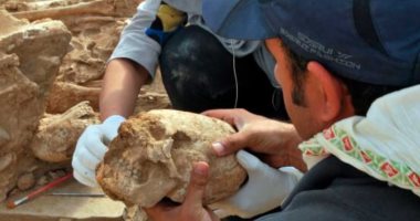 جماجم مشوهة عمدا بمقبرة إيرانية تعود للعصر الحجري الحديث.. اعرف التفاصيل