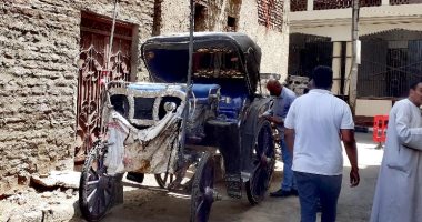 مدينة الأقصر تستجيب لشكاوى المواطنين من مخلفات عربات الحنطور والكلاب الضالة