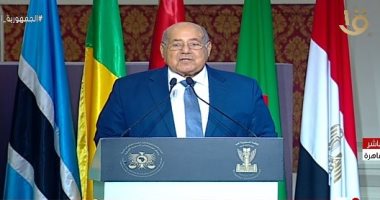 رئيس مجلس الشيوخ: اجتماع القاهرة رمز ونبراس على صلابة إرادة أبناء أفريقيا