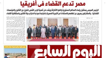 اليوم السابع: مصر تدعم القضاء فى أفريقيا 