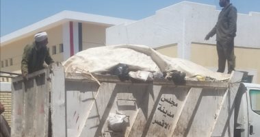 حملات نظافة وتجميل مكثفة فى الشوارع والأحياء بمدينة الأقصر.. صور