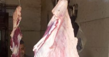 بيطرى الشرقية يُحرر 10 محاضر ويضبط 238 كيلو جرام لحوم مخالفة
