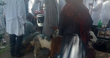 فحص 248 حيوانا و2230 طائرا خلال قافلة بيطرية في قطور بالغربية.. صور