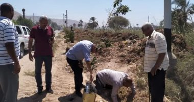 استمرار حملات التشجير فى أسيوط ضمن فعاليات مبادرة 100 مليون شجرة.. صور