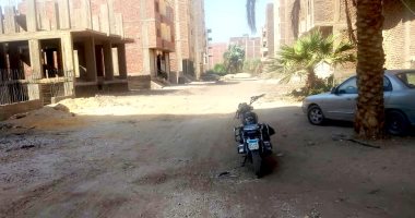 حملة تفتيش لمتابعة شكاوى انتشار الكلاب الضالة فى الأقصر.. صور