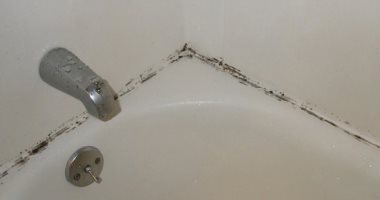 طرق بسيطة للتخلص من العفن الأسود فى الحمام