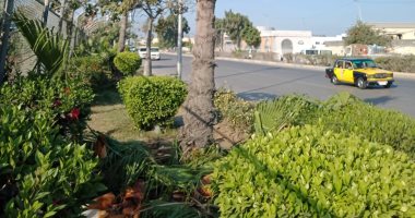 عروس البحر في ثوبها الأخضر.. الإسكندرية تقود قطار 100 مدينة خضراء حول العالم.. التوسع بمشروعات البنية التحتية وتقليل انبعاثات ثانى أكسيد الكربون.. وتشغيل الأتوبيس الكهربائى.. وتعميم الطاقة الشمسية بجميع المصالح