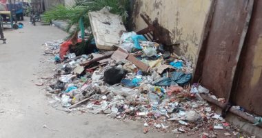 سكان حى الجمرك بالإسكندرية يناشدون برفع القمامة المتراكمة.. والشركة ترد