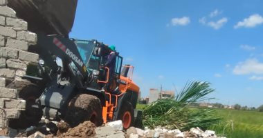 إزالة 115 حالة ضمن المرحلة الثانية من الموجة الـ20 لإزالة التعديات بالغربية