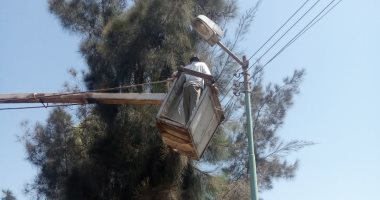 ترشيد الكهرباء لـ  48026 عمودا بالطرق والشوارع والميادين بالغربية 