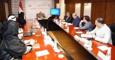 حكومتا مصر والإمارات تبحثان تعزيز التعاون فى التحديث الحكومي وتطوير الخدمات 