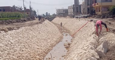 تبطين الترع والرصف بالإنترلوك بمدينة دسوق وزراعة الأشجار وري الحدائق.. صور