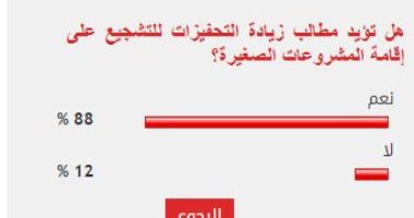 %88 من القراء يؤيدون زيادة التحفيزات للتشجيع على إقامة المشروعات الصغيرة
